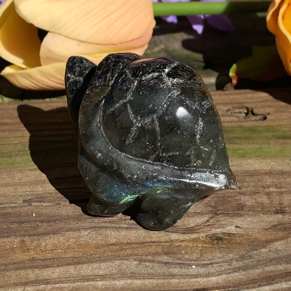 Labradorite Crystal Turtle - Picture 2 of 16